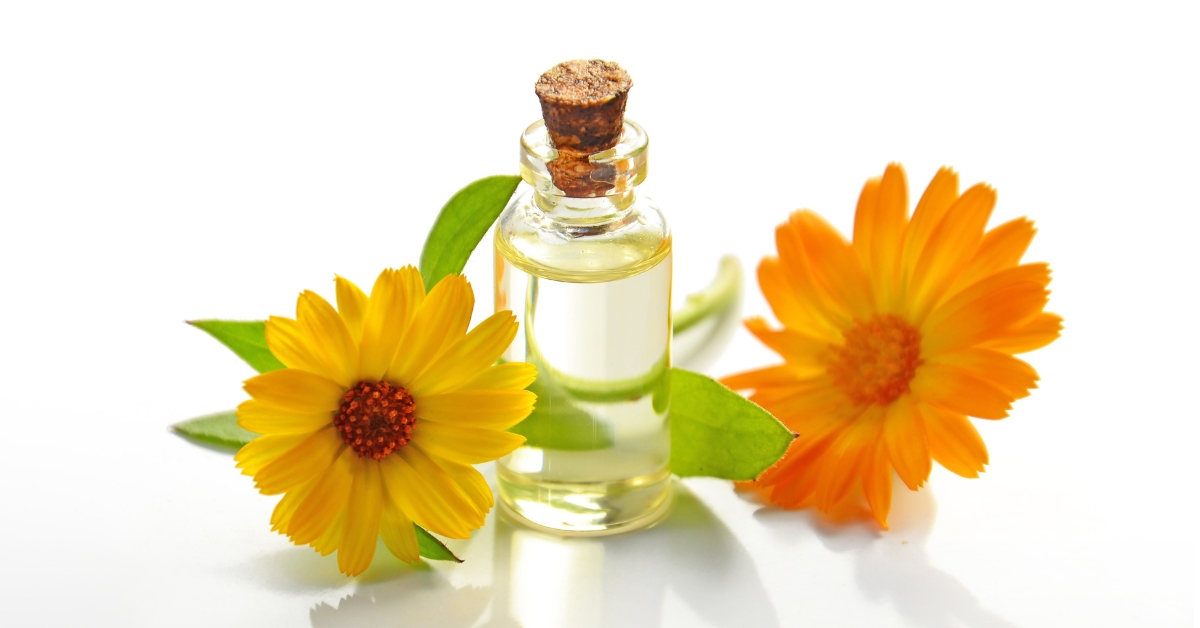 Essential Oils for Focus and Concentration: Scents That Sharpen Your Mind