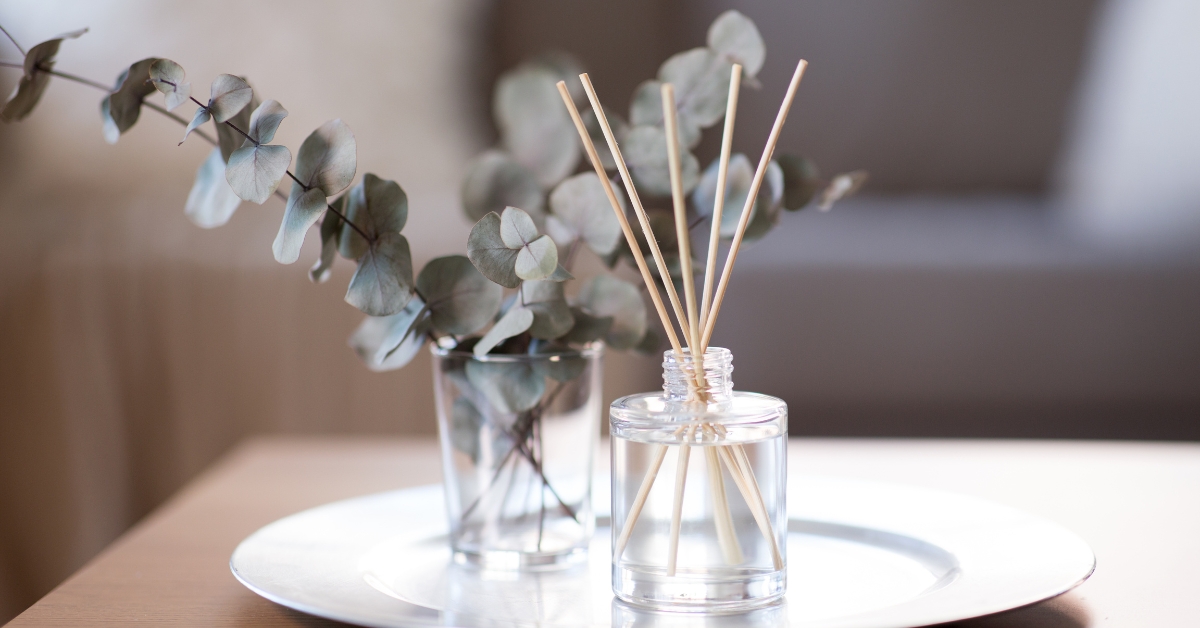 Eucalyptus Scent Eucalyptus Scent