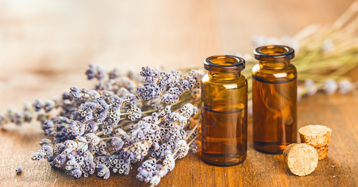 Lavendar Scent Lavendar Scent, calming scents