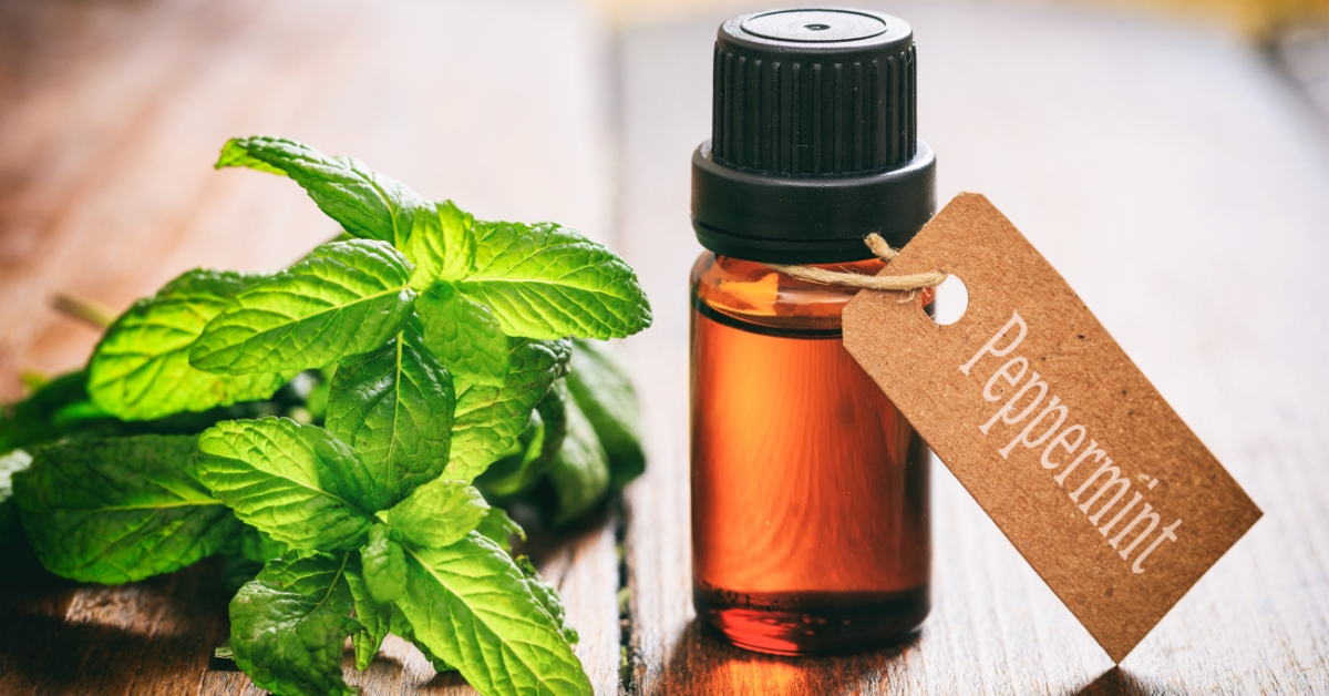 Peppermint Scent, morning scents