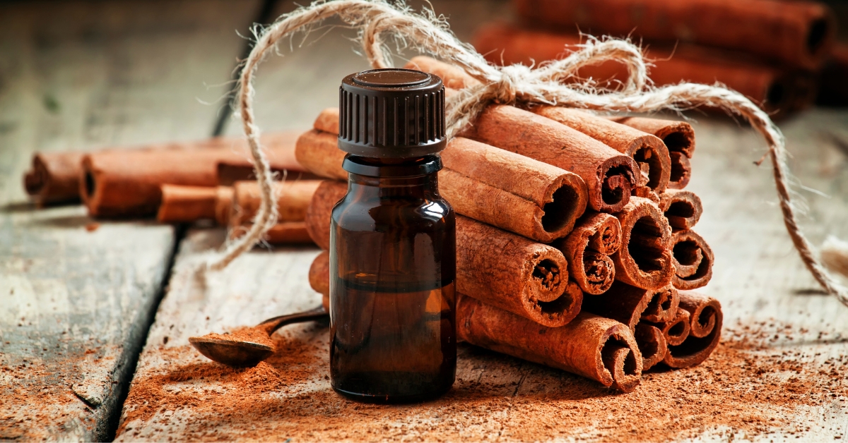 Cinnamon Bark Oil Cinnamon Bark Oil