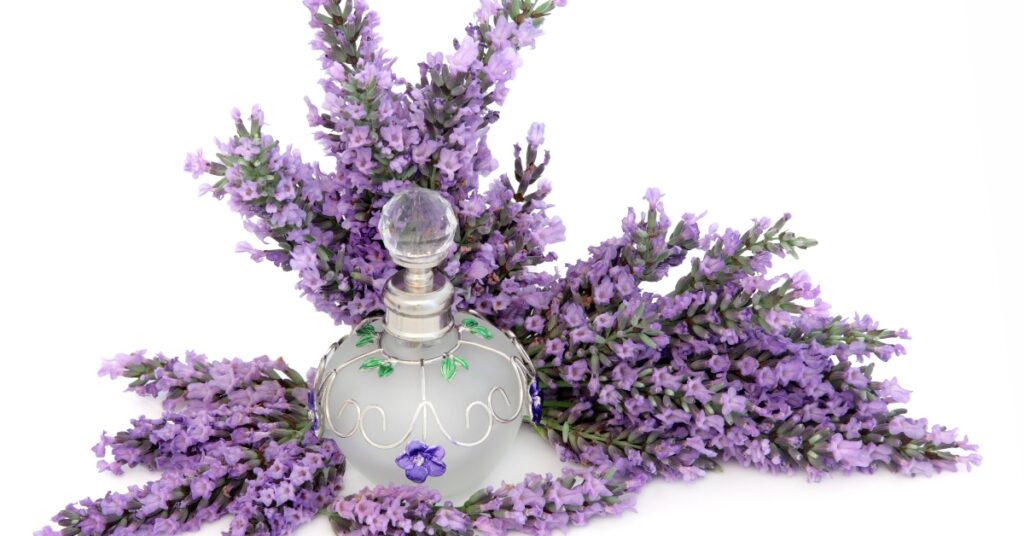 Lavendar and Vanilla Scent