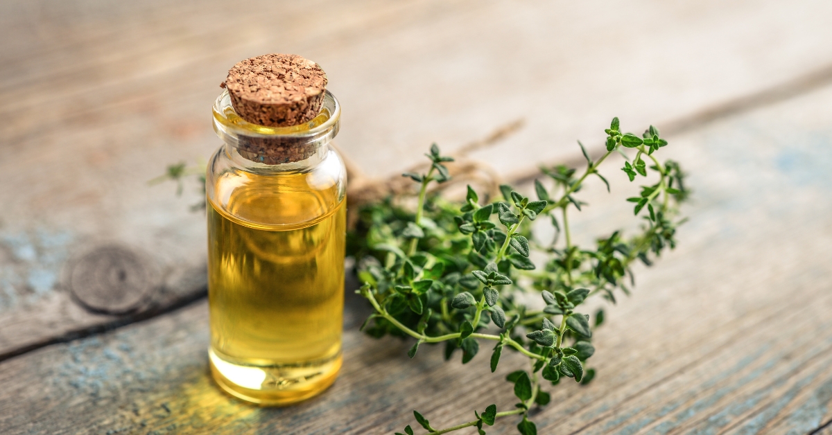 Thyme Oil Thyme Oil