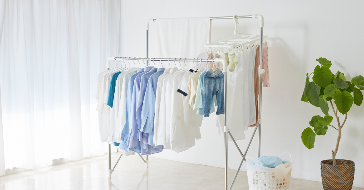 Decode Your Laundry’s Scent: How Clean Laundry Scent Molecules Create Fragrance Notes