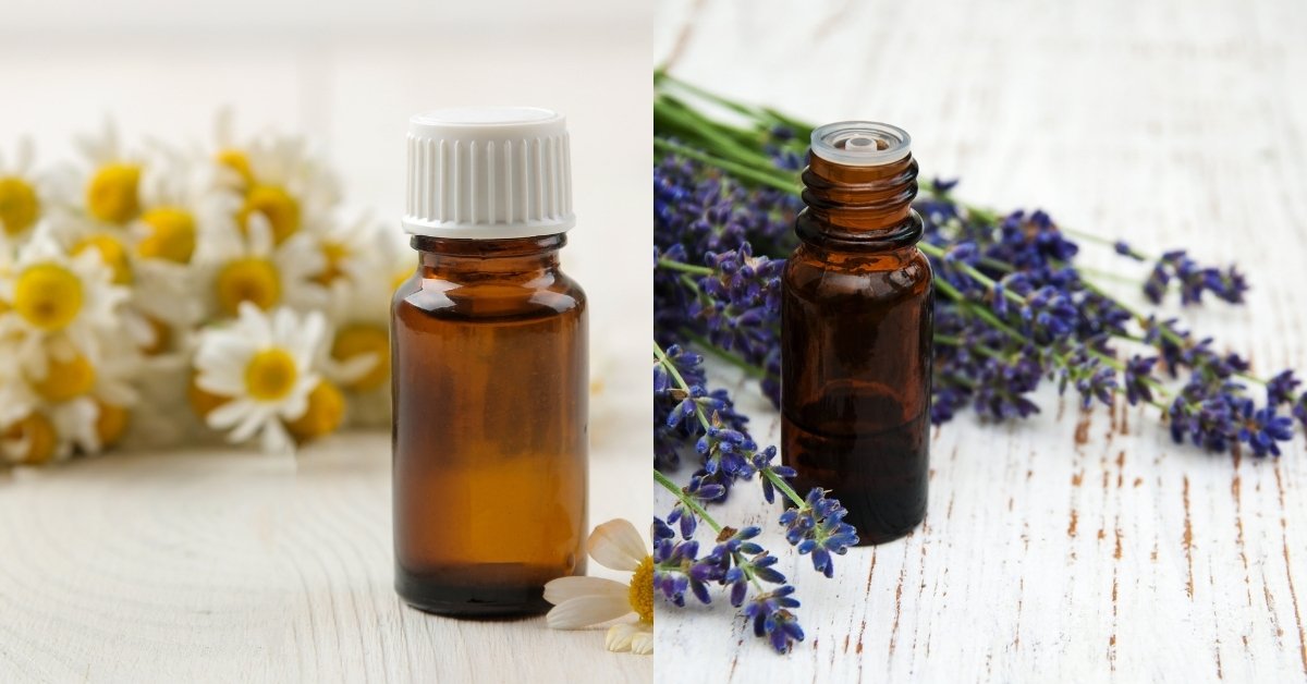 Chamomile and Lavender Oil, lavender vs chamomile for anxiety