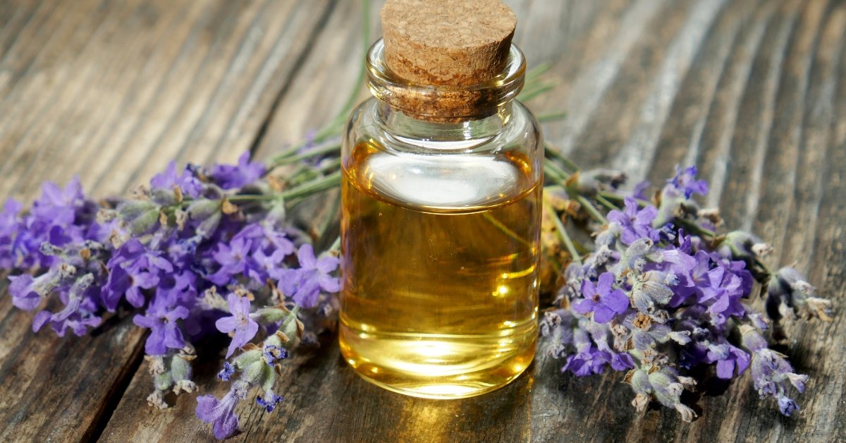 Lavender Oil, lavender vs chamomile for anxiety