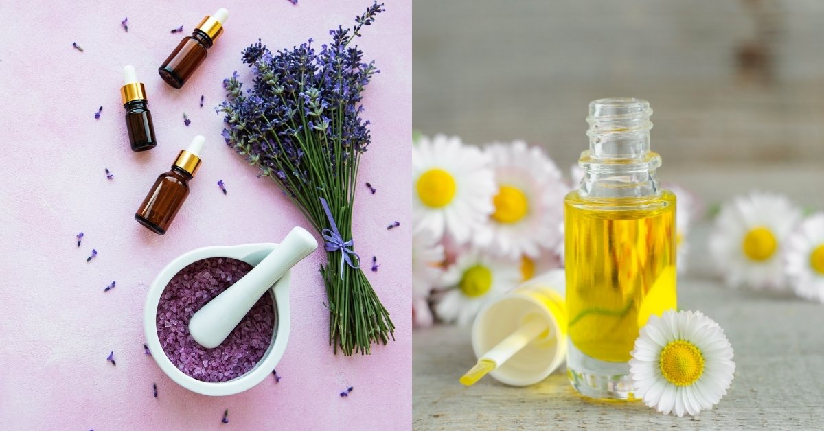 Lavender vs Chamomile, lavender vs chamomile for anxiety