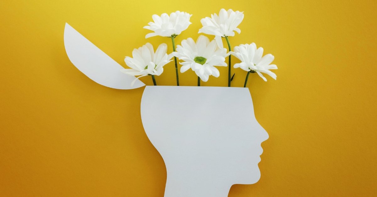 What the Olfactory Bulb Actually Does What the Olfactory Bulb Actually Does, why scent triggers memory